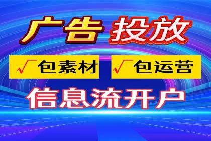 百度竞价与搜索引擎优化（SEO）结合的经典案例